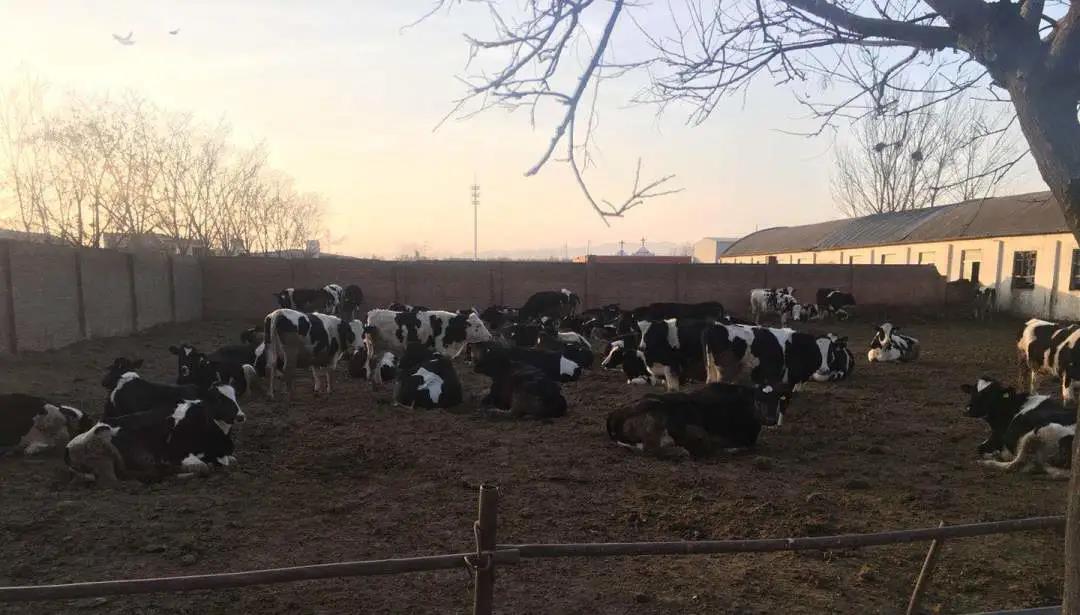 1607045852756899.jpg 微信圖片_20201204093519.jpg